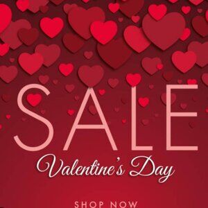HUGE VALENTINE'S SALE ! SHOP NOW. BUY MORE SAVE MORE!